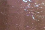 amethystfarbenes, Craqueleé ,Glas,